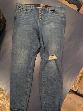 Torrid Button Down Jeans!